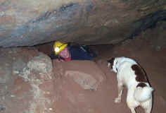 A sporting crawl in the mine