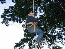 Prusiking in a tree