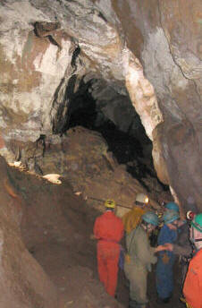 In the main chamber in Engine Vein