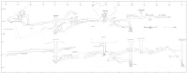Cobalt mine survey