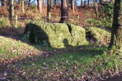 The Golden Stone