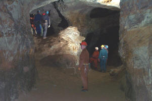 Lion Chamber