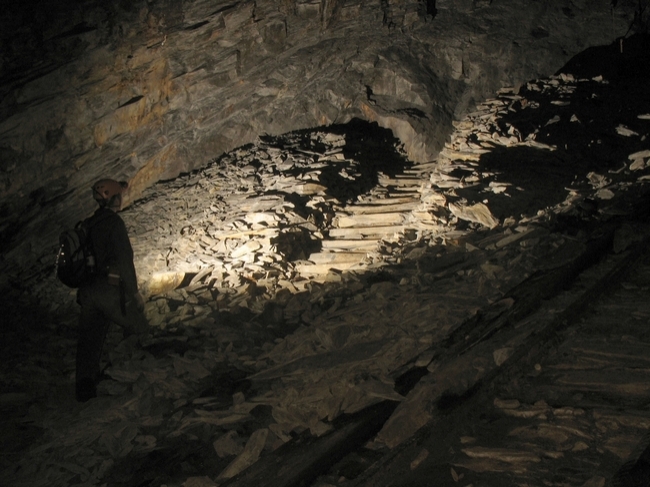 Steps for the brakeman to get up to the sheaves