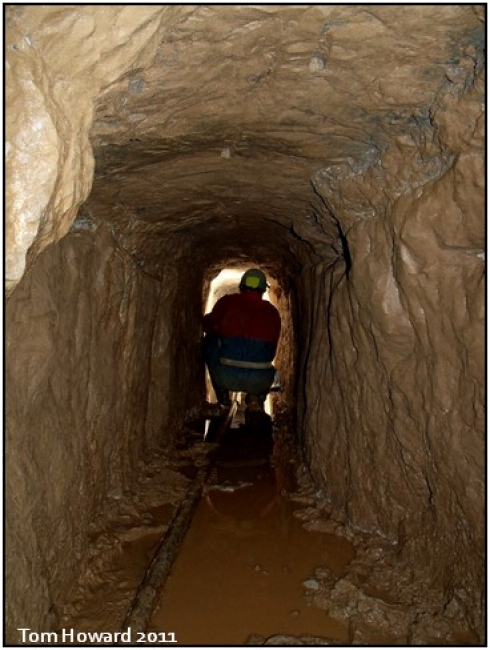 Coffin level dig