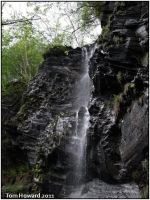 Waterfall feeding the stream in the mine :: Date 2010:05:14 12:41:17 :: Taken by Tom Howard :: Camera X5