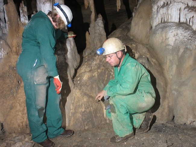 Bear scratches in Cuatribu