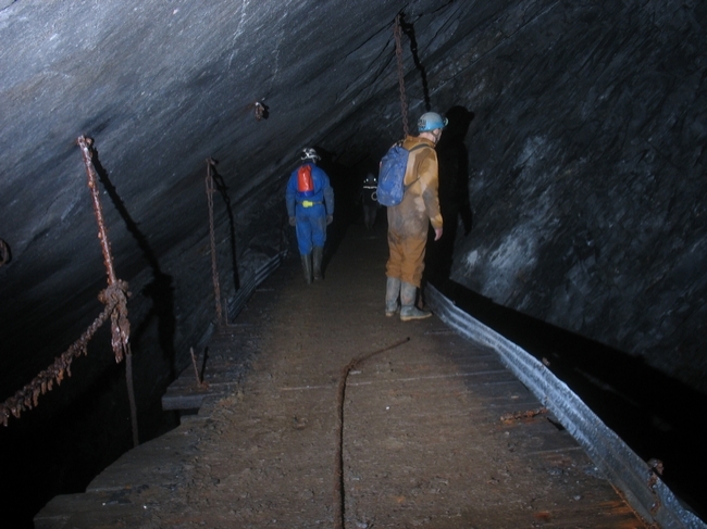 But others are still quite solid