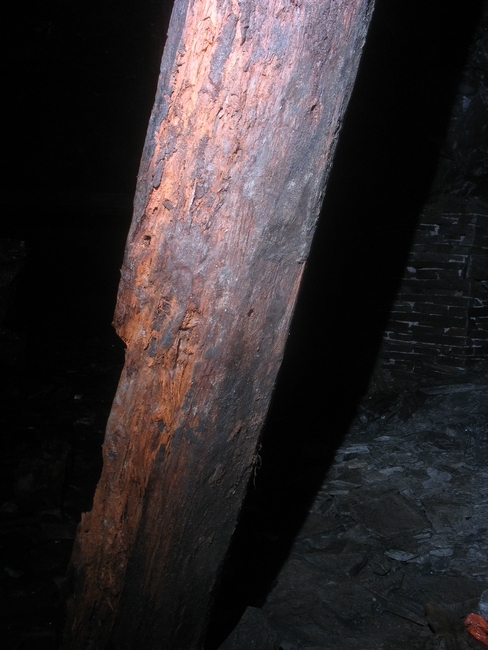 One of the solid timber supports in the area ...
