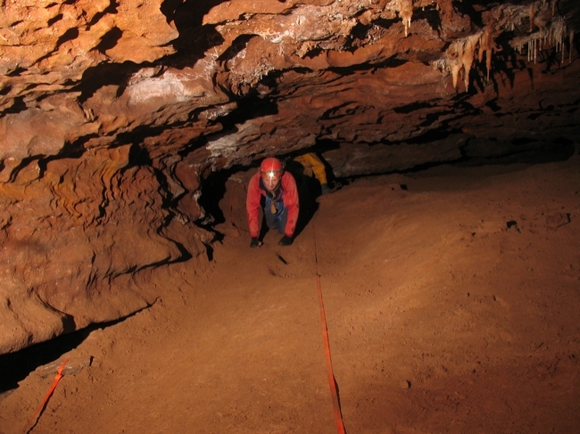 Tom emerges from the crawl to the pretties