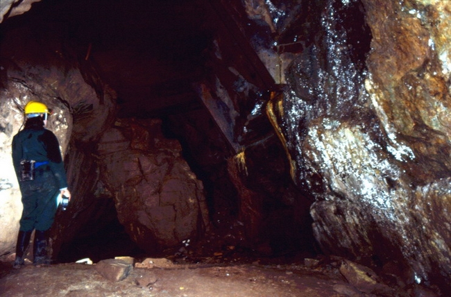 Under the concrete - the white is fungus