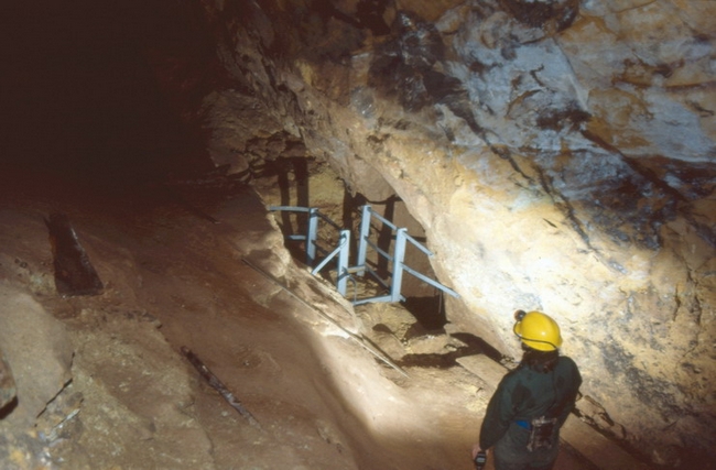 The high level bridge at Bear Pit