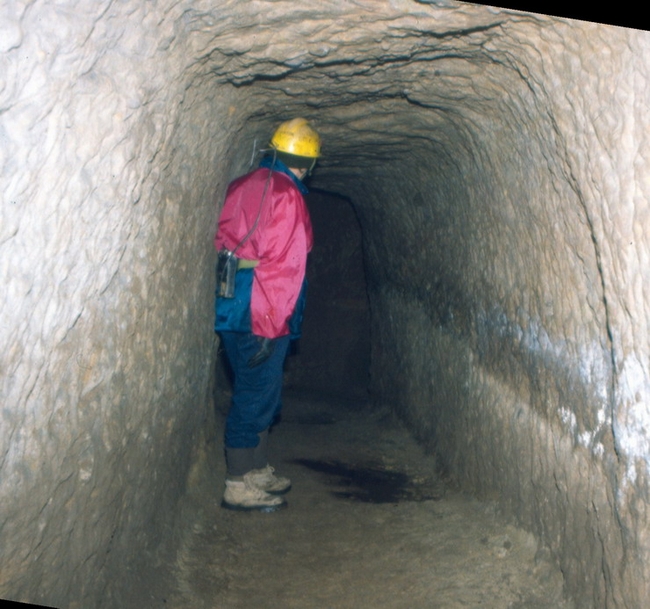 The Roman level after excavation