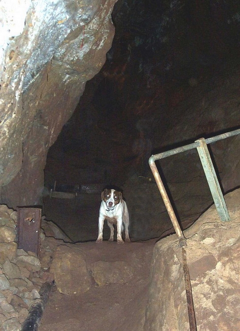 At the start of the bridge