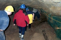 Approaching the cross-cut