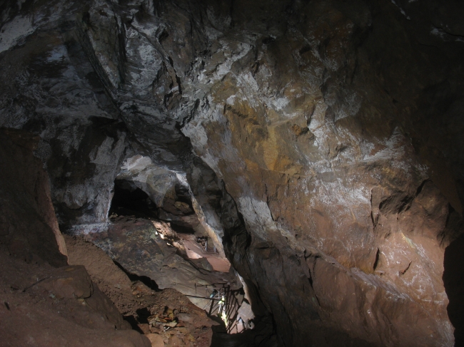 Main chamber in Engine Vein