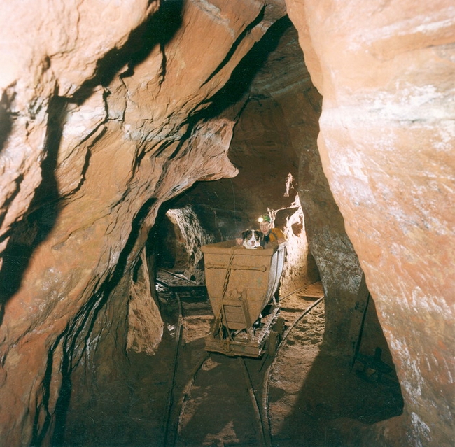At the junction, a superior photograph by Paul Deakin