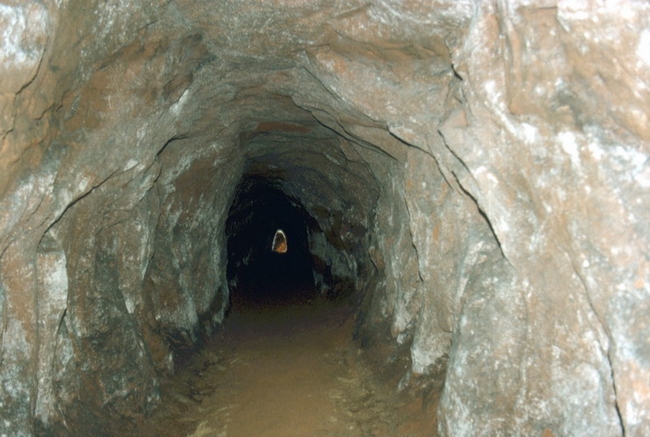 1860s passage to Brynlow