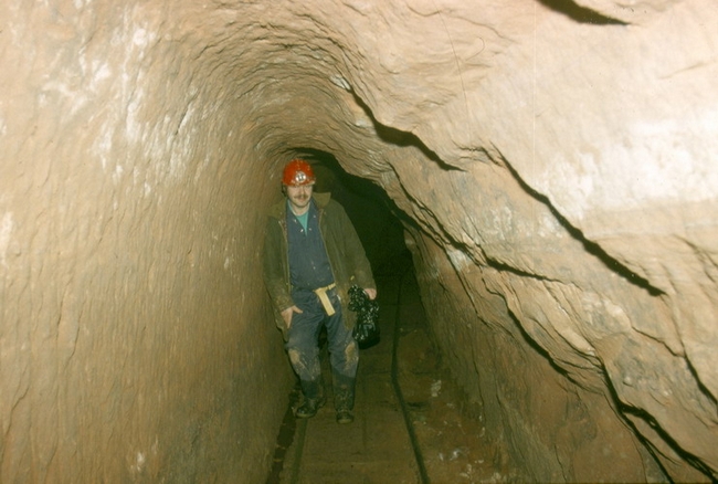 A section showing handpicked and enlarged passage