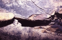 Mottramite inside the mine