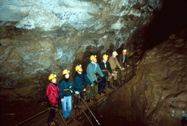 A group on the Bridge