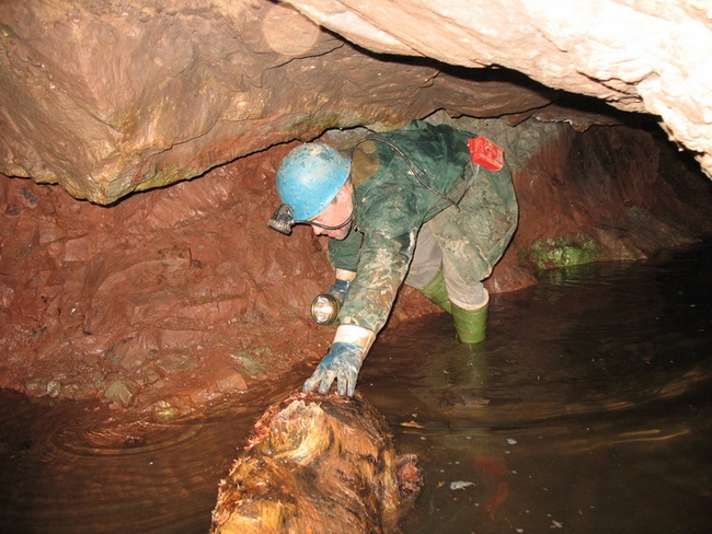 Negotiating the water