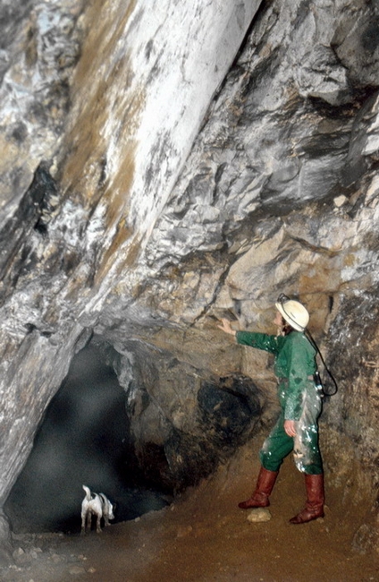 North Boundary Fault