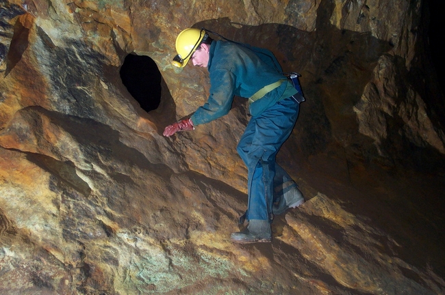 Squeeze in Sphinx Chamber