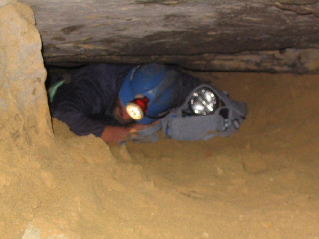 The crawl near the entrance