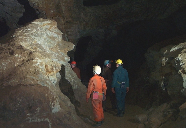 The Lion (The Svart Alfar of Alan Garner's book)