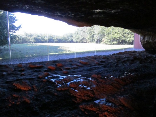 Cultural outing - Altamira