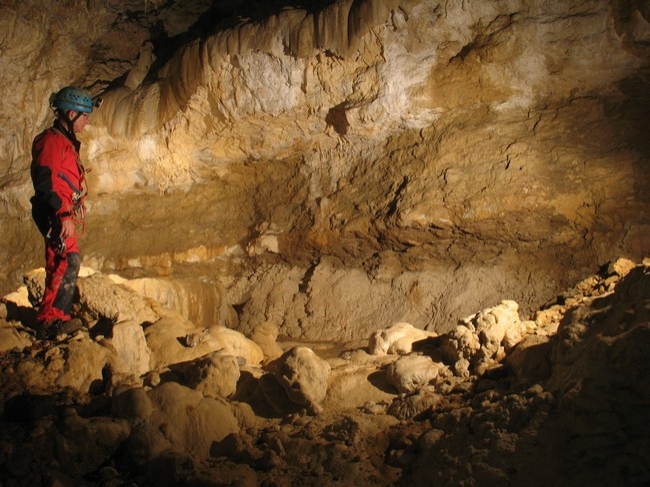 Shaft 3004 Shaft 3004