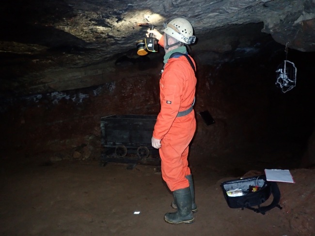 Wood Mine - laser scanning Wood Mine - laser scanning