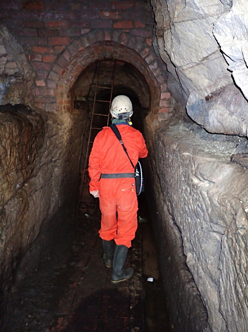 Wood Mine - laser scanning
