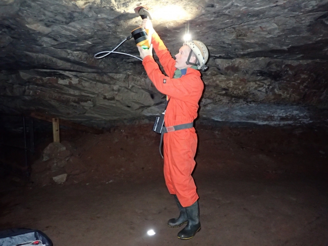 Wood Mine - laser scanning Wood Mine - laser scanning
