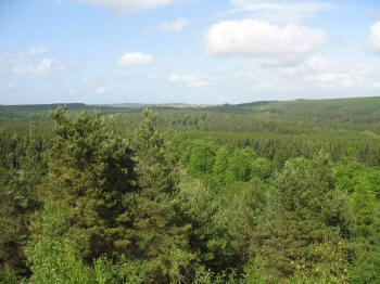 View over the Forest from New Fancy Colliery tip