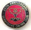 25 year celebratory badge